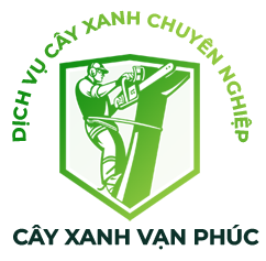 Dịch vụ cắt tỉa cây xanh Vạn Phúc